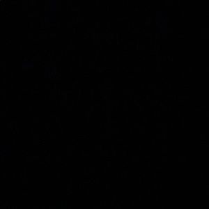 Meet your Posher, Giselle